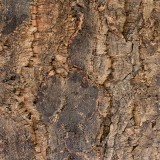 Cork Superb Cork Superb